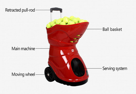 Máy ném bóng tennis cầm tay Trình độ dành cho người mới bắt đầu AC 240V