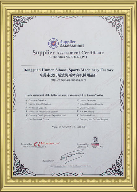 Trung Quốc Dongguan Skyegle Intelligent Technology Co.,Ltd. Chứng chỉ